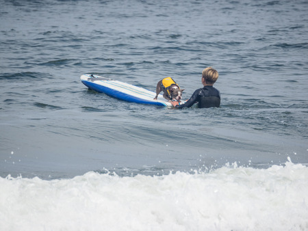 Pacifica, CA/USA - August 5, 2017: The second annual World Dog Surfing Championships brought together the top dog surfers and their humans.のeditorial素材