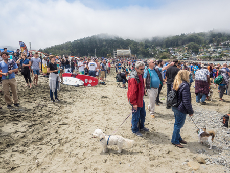 Pacifica, CA/USA - August 5, 2017: The second annual World Dog Surfing Championships brought together the top dog surfers and their humans.のeditorial素材
