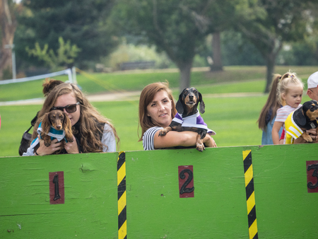 PALO ALTO, CA/USA - October 29 2017: 15th Annual Highway National Wiener Races where the finest dachshunds dashed to the finish line.のeditorial素材