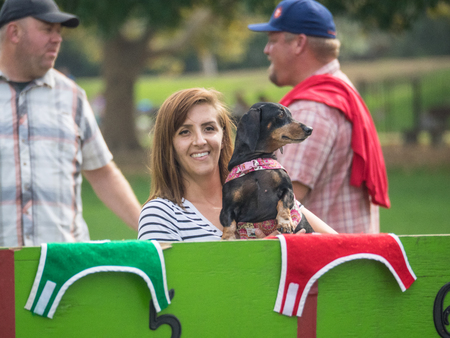 PALO ALTO, CA/USA - October 29 2017: 15th Annual Highway National Wiener Races where the finest dachshunds dashed to the finish line.のeditorial素材
