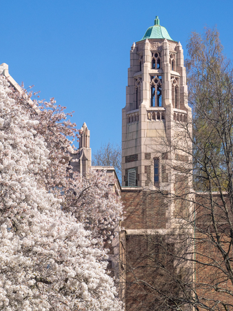 The Liberal Arts Quadrangle, more popularly known as the Quad, is the main quadrangle at the University of Washington in Seattle, Washington.のeditorial素材