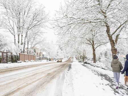 Snowpocalypse in February in Bellevue,WAの写真素材