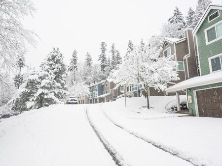 Snowpocalypse in February in Bellevue,WAの写真素材