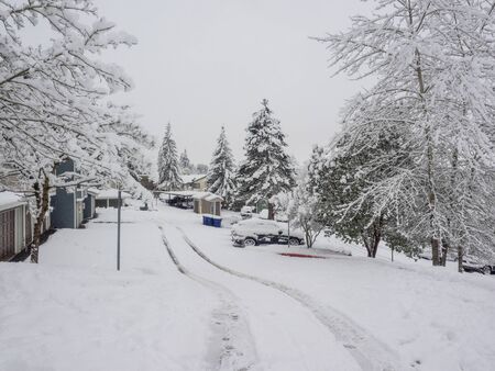 Snowpocalypse in February in Bellevue,WAの写真素材