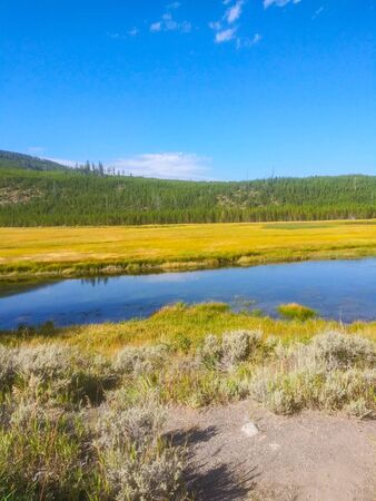 Madison River in Yellowstone National Park is a fly fishing mecca for serious anglers.の写真素材