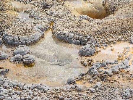 Upper Geyser Basin which has the highest concentration of geothermal features in the park. This...