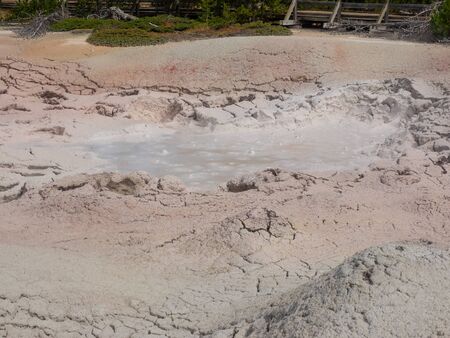 Fountain Paint Pot is a mud pot located in Lower Geyser Basin in Yellowstone National Park.