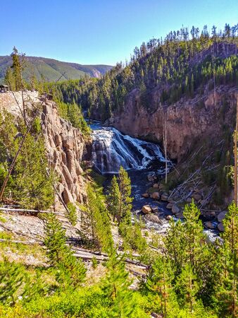 Gibbon Falls is a waterfall on the Gibbon River in northwestern Yellowstone National Park in the United States. Gibbon Falls has a drop of approximately 84 feet (26 m).の写真素材