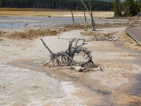 Fountain Paint Pot is a mud pot located in Lower Geyser Basin in Yellowstone National Park.の写真素材