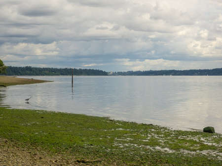 Burfoot Park is a public park located in Thurston County, Washington. Burfoot Park covers 50 acres...