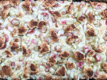 Rhubarb cake ispperfect for coffee break, you can serve it warm Rhubarb gives the cake moisture and a little bit of sourness.の写真素材