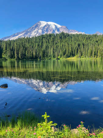 One of the most iconic views of Mt. Rainier in the park can be found at Reflection Lakes.の写真素材