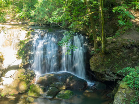 Whatcom Falls Park is a 241-acre (0.98 km2) park in Bellingham, Washington, United States.の写真素材