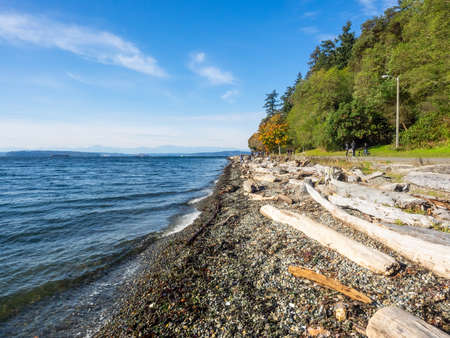 Lincoln Park is a 135 acres (0.55 km2) park in West Seattle between Fauntleroy Way S.W. and Puget Sound. One of Seattle's largest parks, attractions include the paved walkway along the beach, tennis courts, baseball fields, picnic shelters, and a heated saltwater swimming pool during the summer. The park is easily accessible by car, boat or bus and is located next to the Washington State Ferries Fauntleroy terminal.の写真素材