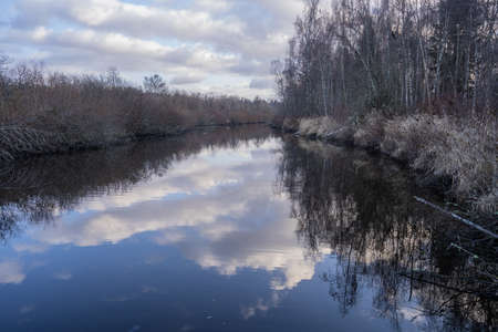 Mercer Slough Nature Park is a 320-acre wetland lushly populated with ferns, shrubs, flowers,...