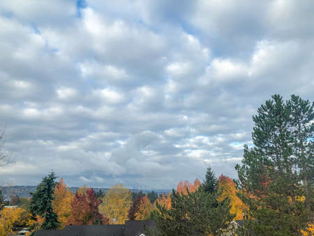 Seattle skyline view on sunny fall day.の写真素材