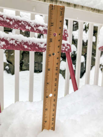 Snowy day in in February in Bellevue,WAの写真素材