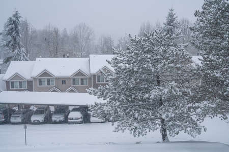 Snowy day in in February in Bellevue,WAの写真素材