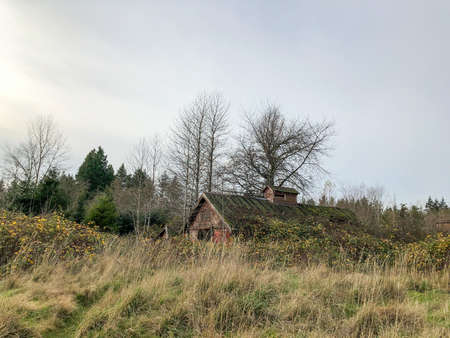 Northern State Hospital is a historic hospital campus in Sedro-Woolley, Washington. It is listed on the National Register of Historic Places.の写真素材
