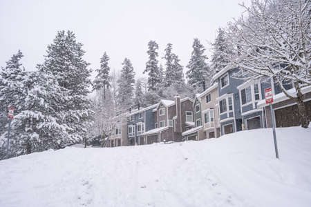 Snowy day in in February in Bellevue,WAの写真素材