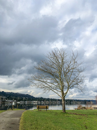 Lake Sammamish State Park is a park at the south end of Lake Sammamish, in King County, Washington,...