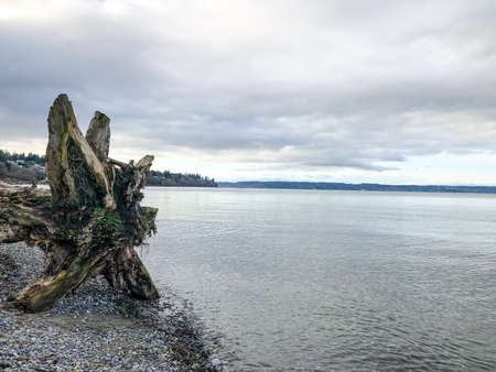 Howarth Park, Everett. A 28-acres, three-tired park on the Everett Waterfront. It's a great place to walk or enjoy the beach and abundant wildlife.の写真素材