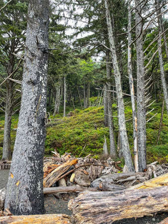 Rialto Beach is a public beach located on the Pacific Ocean in Washington state. It is adjacent to...