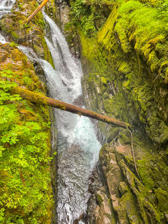 Sol Duc Falls in Sol Duc Valley are called the most beautiful falls in Olympic National Park, and...