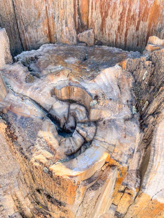 Ginkgo Petrified Forest State Park/Wanapum Recreational Area is a geologic preserve and public recreation area covering 7,124-acre (2,883 ha) on the western shoreline of the Columbia River's Wanapum Reservoir at Vantage, Washington.の写真素材