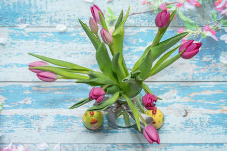 Tulips (Tulipa) are a genus of spring-blooming perennial herbaceous bulbiferous geophytes (having...