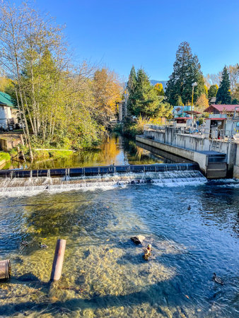 Issaquah Salmon Hatchery is where the miracle of the salmon cycle affects all of us. Here at FISH in...