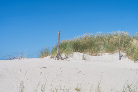 Sand dunes on the beach in Kolobrzeg during sunny day in summer.の写真素材