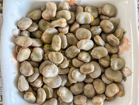 Fava bean (Vicia faba) is a species of flowering plant in the vetch and pea family Fabaceae.