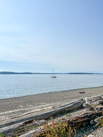 Lincoln Park is a in West Seattle alongside Puget Sound. The park's attractions include forest...