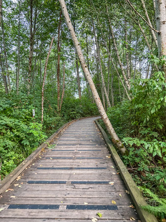 Lake to Lake trail spans 10 miles, connecting Lake Sammamish to Lake Washington. It connects nine...