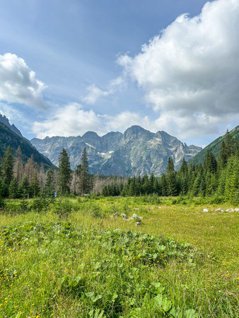 Eye of the Sea is the largest and fourth-deepest lake in the Tatra Mountains, in southern Poland. It is located deep within Tatra National Park in Fish Brook Valley, of the High Tatras mountain rangeの写真素材