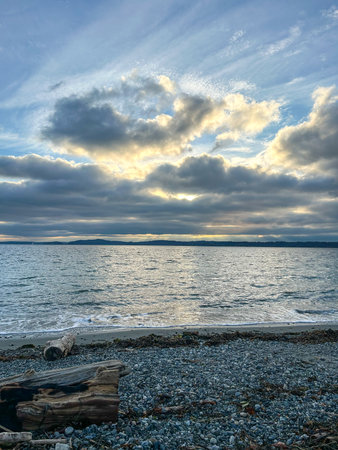 Discovery Park is  park on the shores of Puget Sound in the Magnolia neighborhood of Seattle, Washington.の写真素材