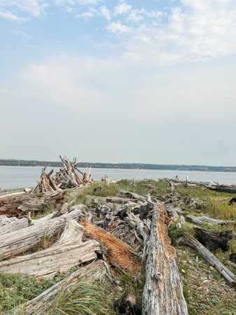 Point Robinson Light is an operational aid to navigation and historic lighthouse on Puget Sound, located at Point Robinson, the easternmost point of Maury Island.の写真素材
