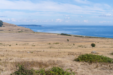 San Juan Island is the second-largest and most populous of the San Juan Islands in northwestern Washington, United States.の写真素材