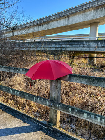 Mercer Slough Nature Park is a 320-acre wetland populated with ferns, shrubs, flowers, several varieties of berries, distinctive wooden boardwalks and shaded pathwaysの写真素材