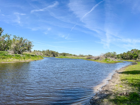 Myakka River State Park is a Florida State Park, that is located nine miles (14 km) east of Interstate 75 in Sarasota County and a portion of southeastern Manatee County on the Atlantic coastal plain.の写真素材