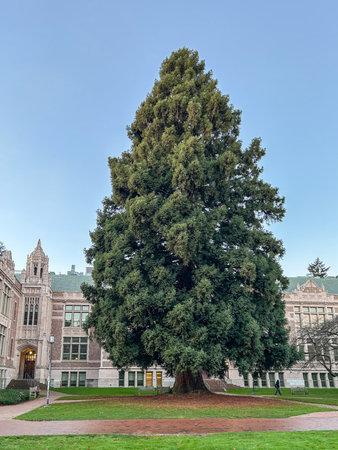 University of Washington is a public research university located in Seattle, Washington.の写真素材