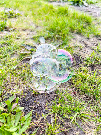 Soap bubble is an extremely thin film of soap or detergent and water enclosing air that forms a hollow sphere with an iridescent surface. Soap bubbles usually last for only a few seconds before bursting, either on their own or on contact with another object. They are often used for children's enjoyment, but they are also used in artistic performances. Assembling many bubbles results in foam.の写真素材