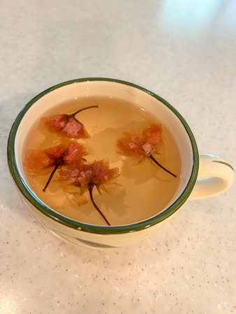 Sakurayu Tea, literally "cherry blossom tea", is a Japanese infusion created by steeping pickled cherry blossoms with boiled water.の写真素材