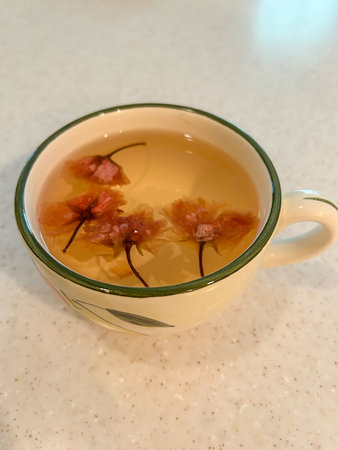 Sakurayu Tea, literally "cherry blossom tea", is a Japanese infusion created by steeping pickled cherry blossoms with boiled water.の写真素材