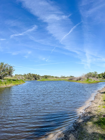 Myakka River State Park is a Florida State Park, that is located nine miles (14 km) east of Interstate 75 in Sarasota County and a portion of southeastern Manatee County on the Atlantic coastal plain.の写真素材