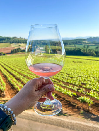Savoring a glass of rose wine in the Willamette Valley. Cheers to Oregon's wine country!の写真素材
