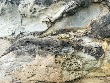 The intricate textures of eroded sandstone, sculpted by time and tide