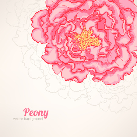 beautiful background with pink peony flower and place for textのイラスト素材