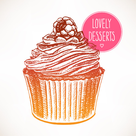 delicious cupcake with raspberries. hand-drawn illustrationのイラスト素材